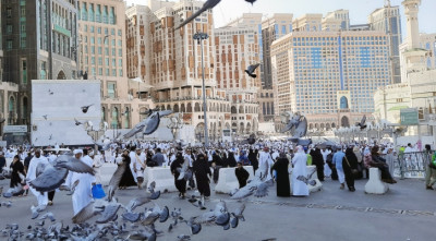 মসজিদুল হারামে স্বাগত জানায় কবুতর!
 